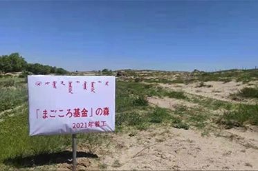 まごころ基金の森