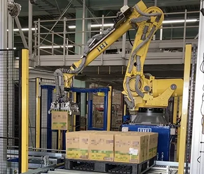 Depalletizer/Palletizer Q