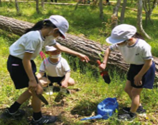 Tree-planting activities