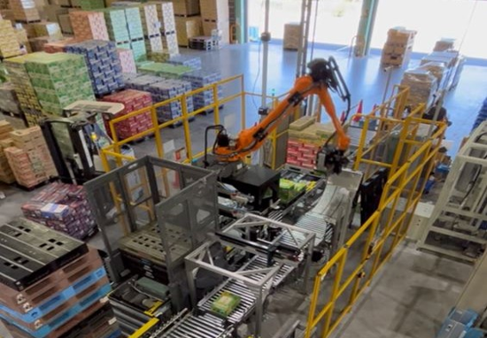 Depalletizer/Palletizer W