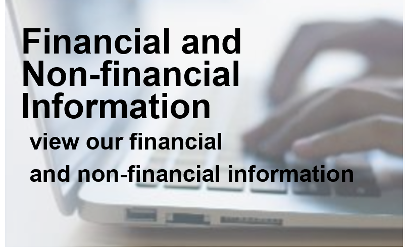 Financial and Non-financial Information