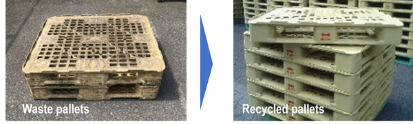 Left:waste pallets Right:recycled pallets