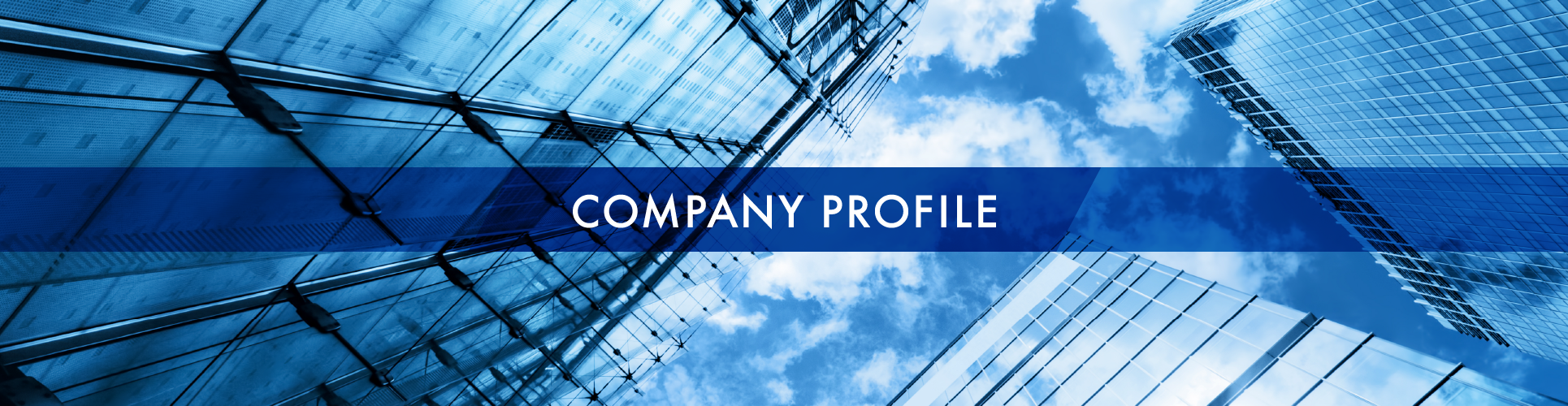 COMPANY PROFILE