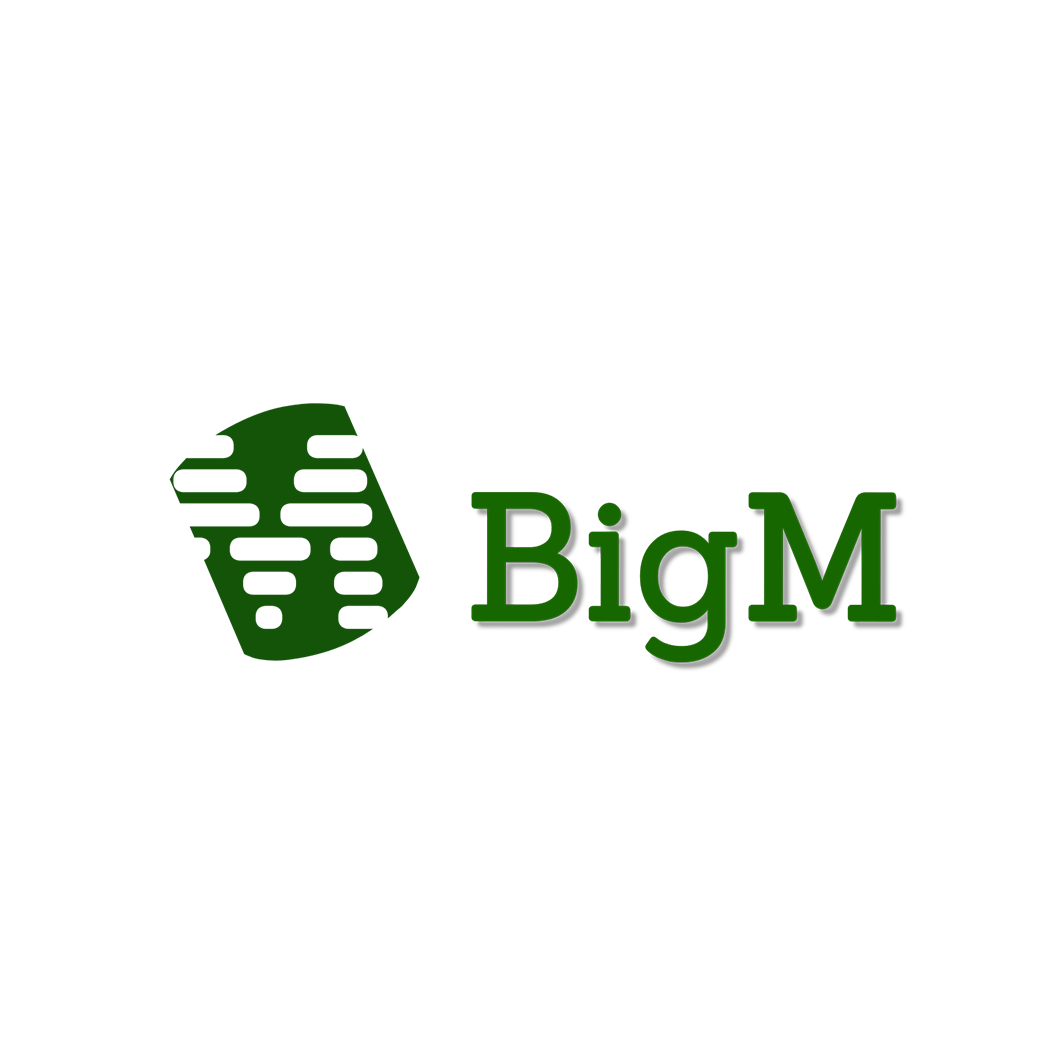 BigM