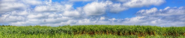 CSR・環境メインビジュアル